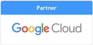 Google Partner