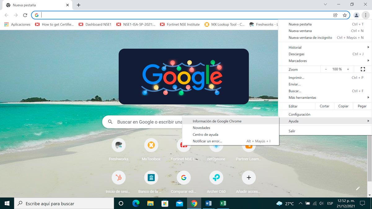 Información Google Chrome